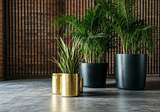 How Designer Planters Elevate the Charm of Your New York Loft