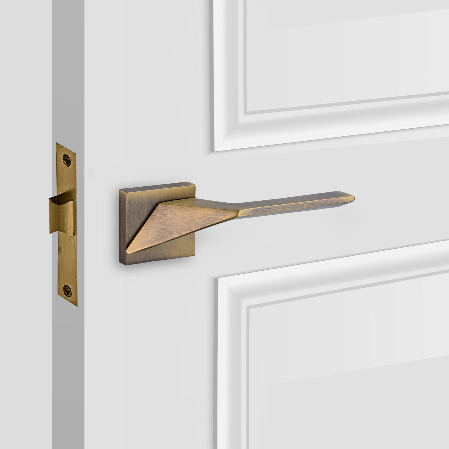 Premium Seginus Passage Door Lever Handles