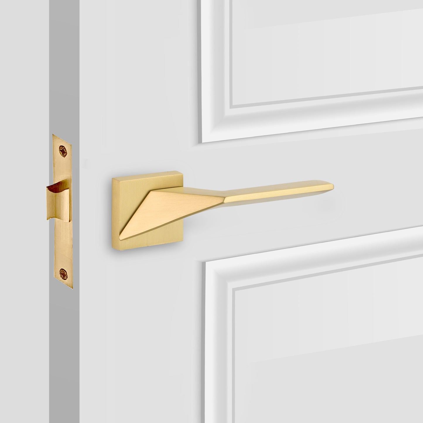 Premium Seginus Passage Door Lever Handles