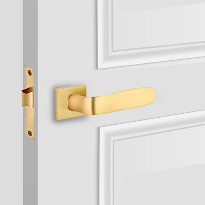 Passage Brass Mars Internal Door Handles