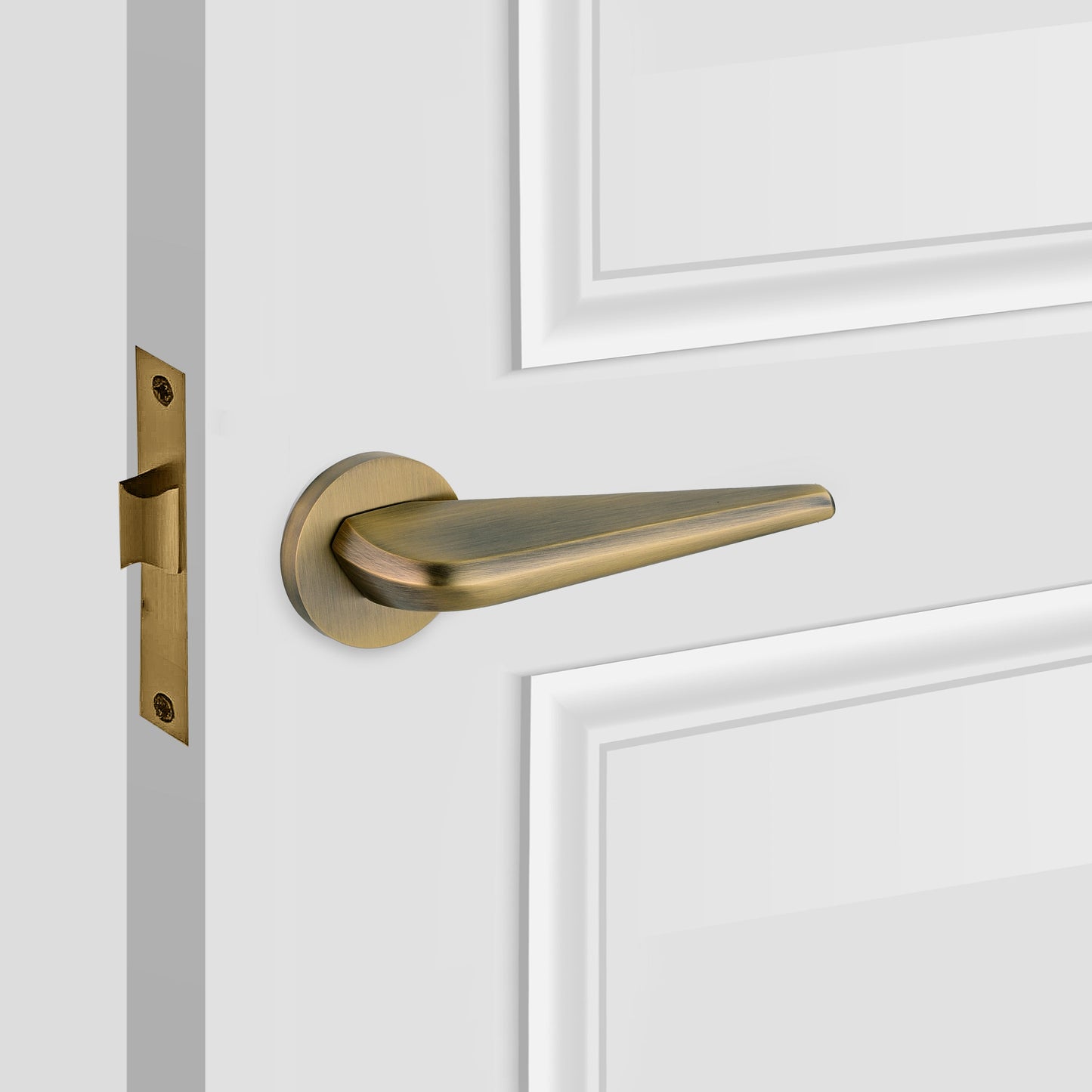 Seginus Luxury Door Lever Passage Handle