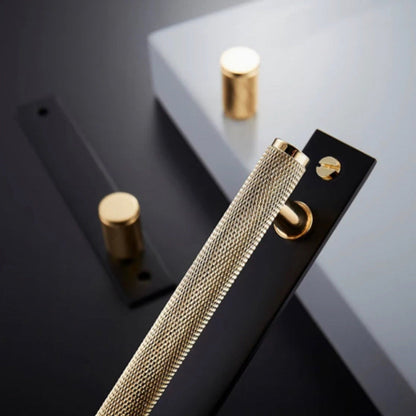 Modern Cabinet Handles with Backplates