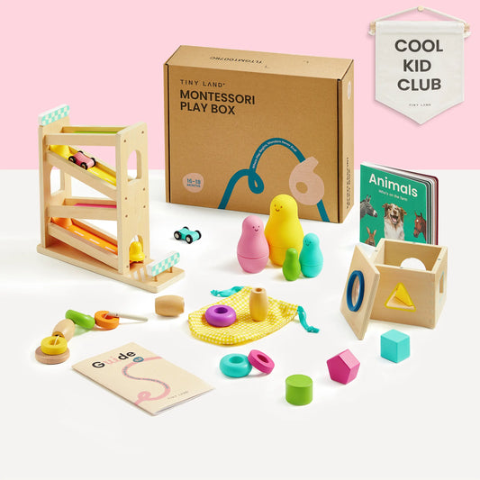 Tiny Land® Montessori Toys Set for Toddlers (16-18 month)