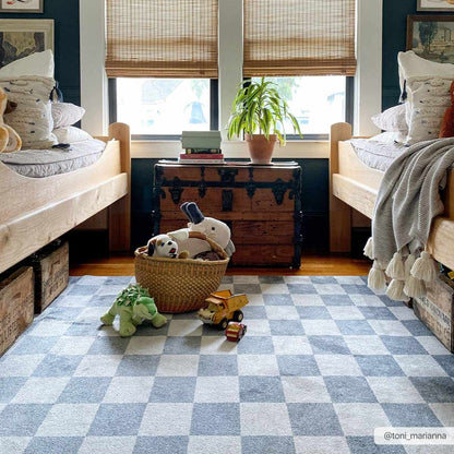 Alie Blue Checkered Area Rug.