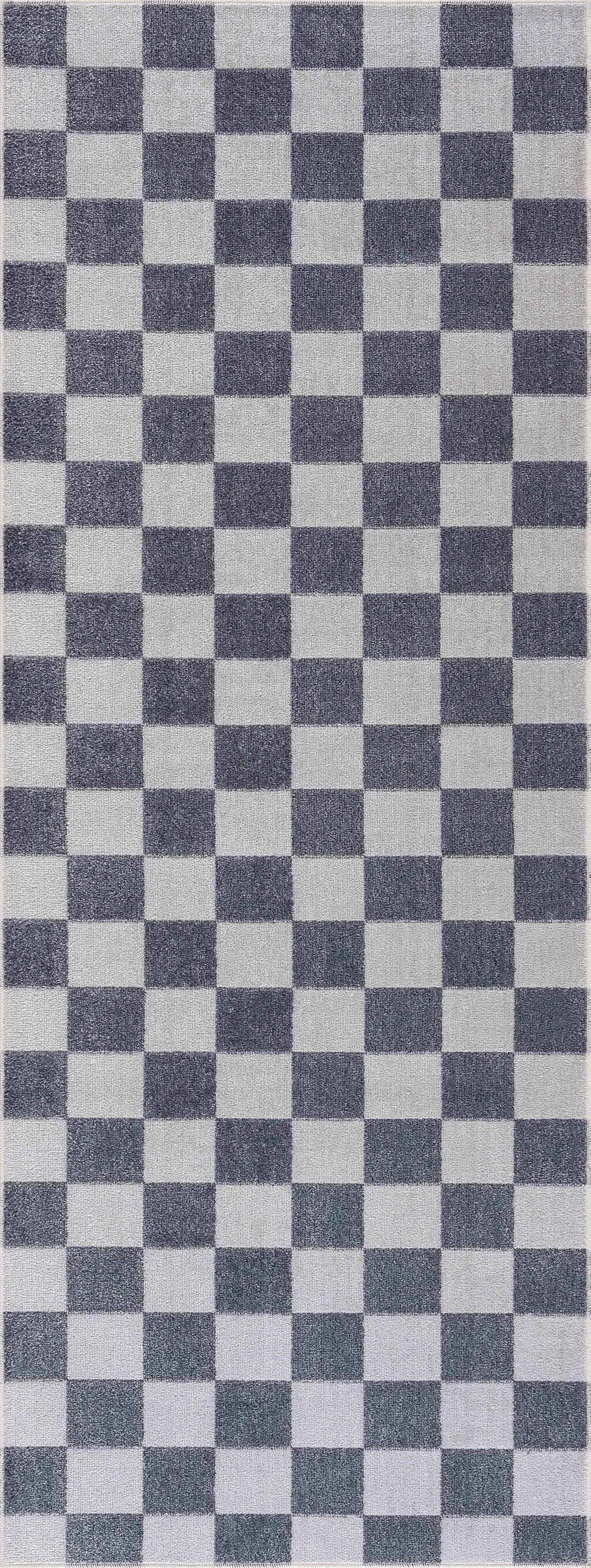 Alie Blue Checkered Area Rug.