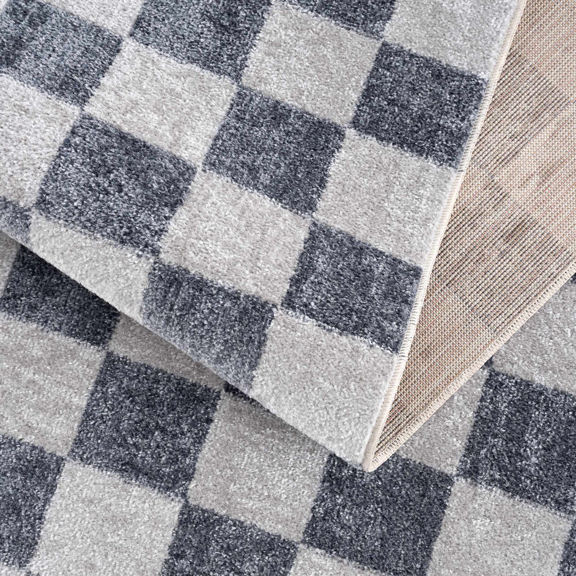 Alie Blue Checkered Area Rug.