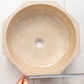 TCSC | Light Beige Travertine Octagon Above Vanity Bathroom Vessel Sink Polished