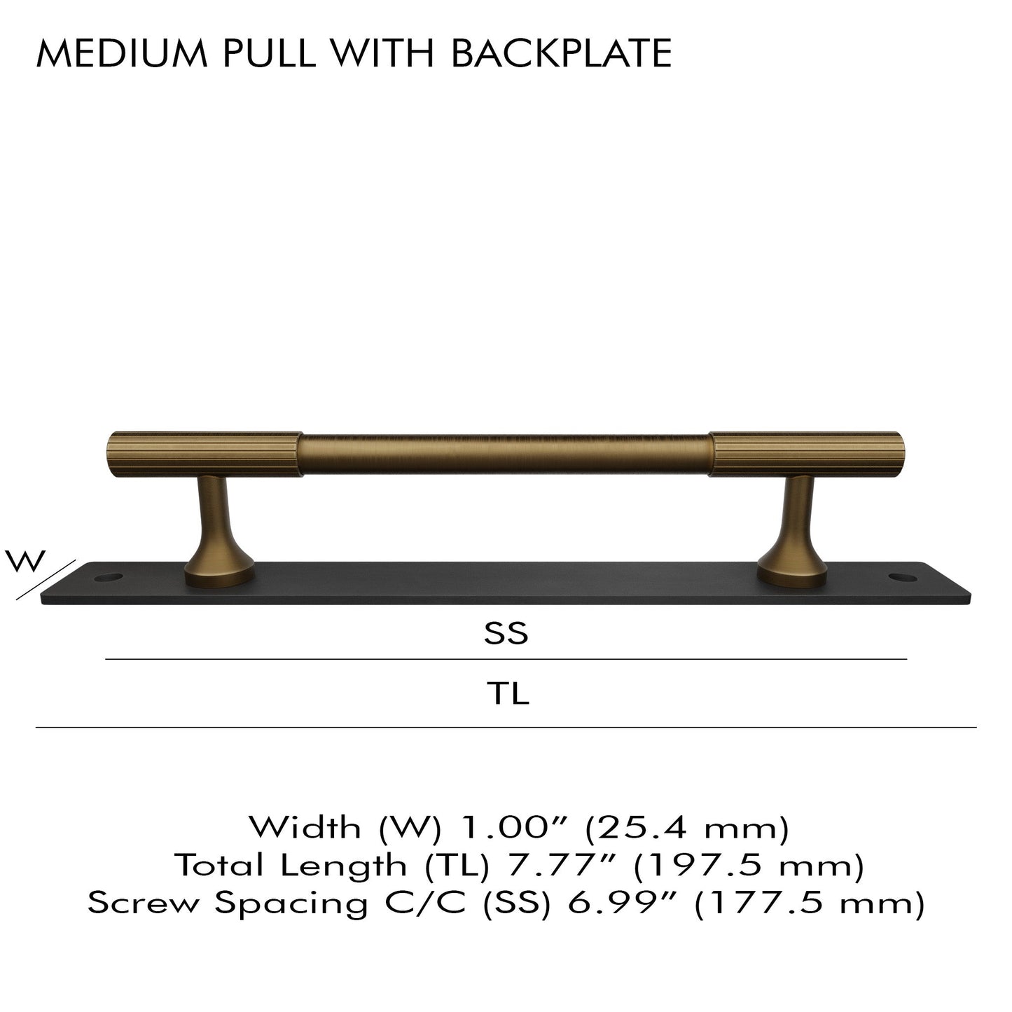 Brass Knob and Pull with Backplate