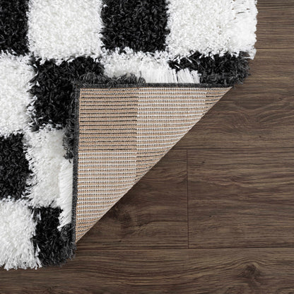 Atira Black & White Checkered Area Rug.