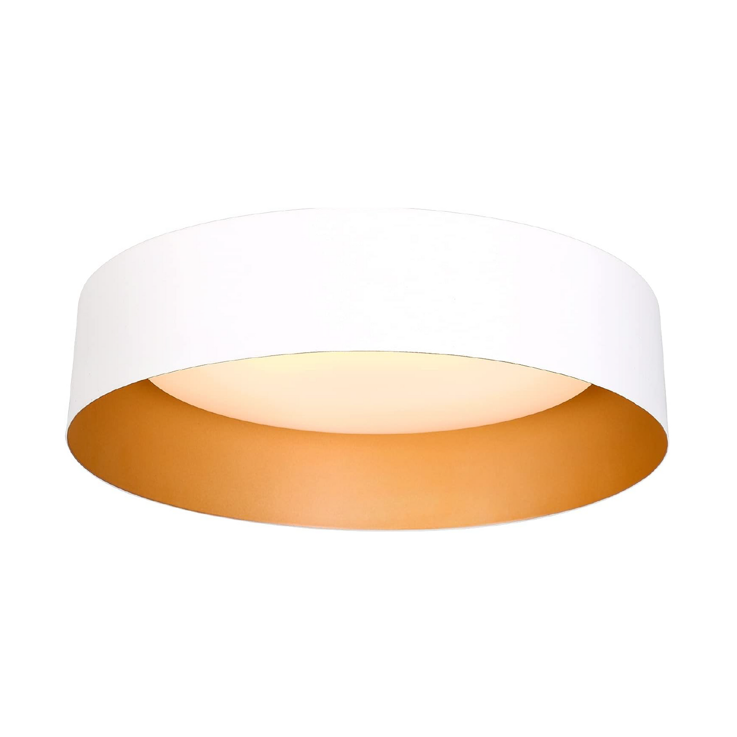 Round LED Flush Mount Ceiling Light 12.5 inch