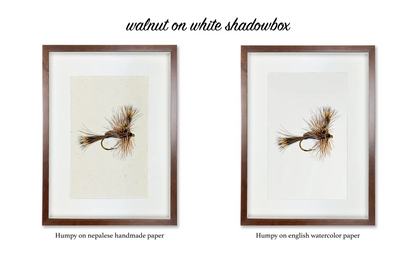 Feather Study #3 (Mallard Duck)