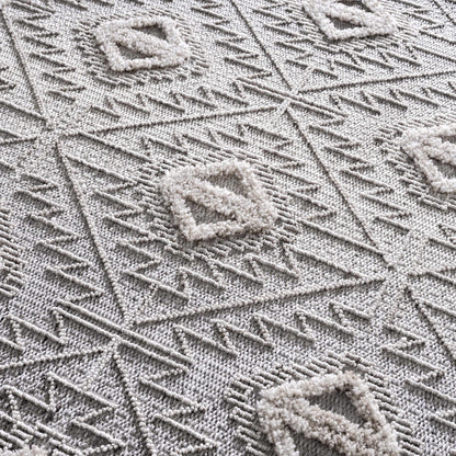 Agoo Area Rug.