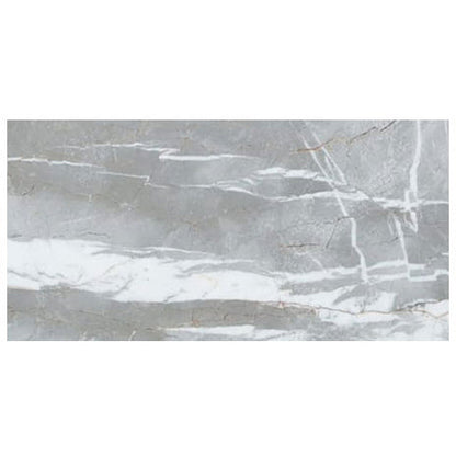 TCSC | Astana Gray Exotic Marble Polished Floor and Wall Tile - Large Format - Livfloors Collection