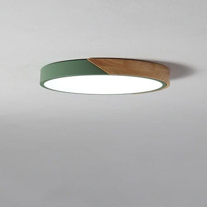 Residence Supply Green Round / Small - 9" x 9" / 23cm x 23cm - 18W / Warm White 3000K Delphi Ceiling Light