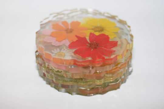 Dried Fruit and Flowers Resin Coasters