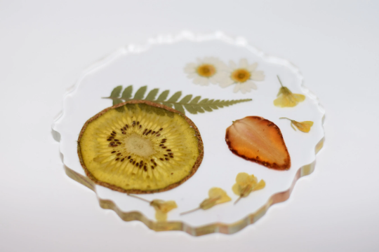 Dried Fruit and Flowers Resin Coasters