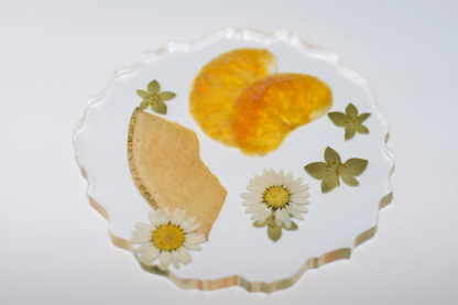 Dried Fruit and Flowers Resin Coasters