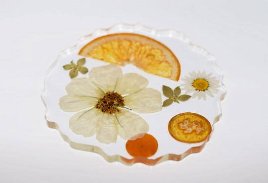 Dried Fruit and Flowers Resin Coasters