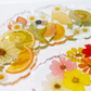 Dried Fruit and Flowers Resin Coasters