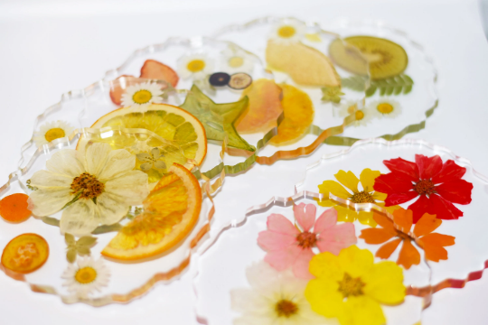 Dried Fruit and Flowers Resin Coasters