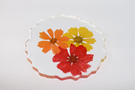 Dried Fruit and Flowers Resin Coasters