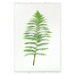 BARLOGA STUDIOS- fine photographs on intriguing papers Ferns Fern #5