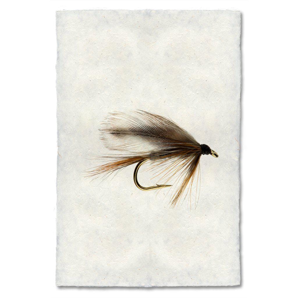 BARLOGA STUDIOS- fine photographs on intriguing papers Fishing Flies Adams