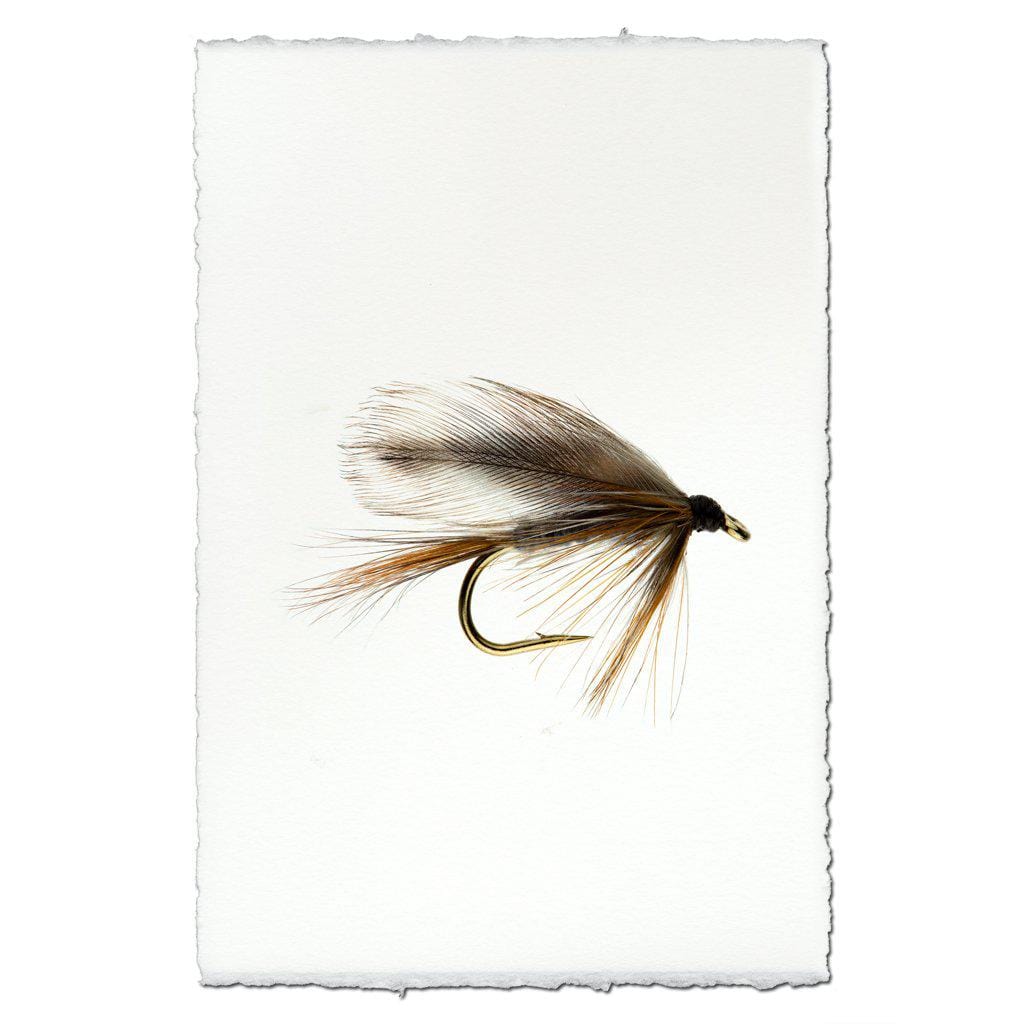 BARLOGA STUDIOS- fine photographs on intriguing papers Fishing Flies Adams