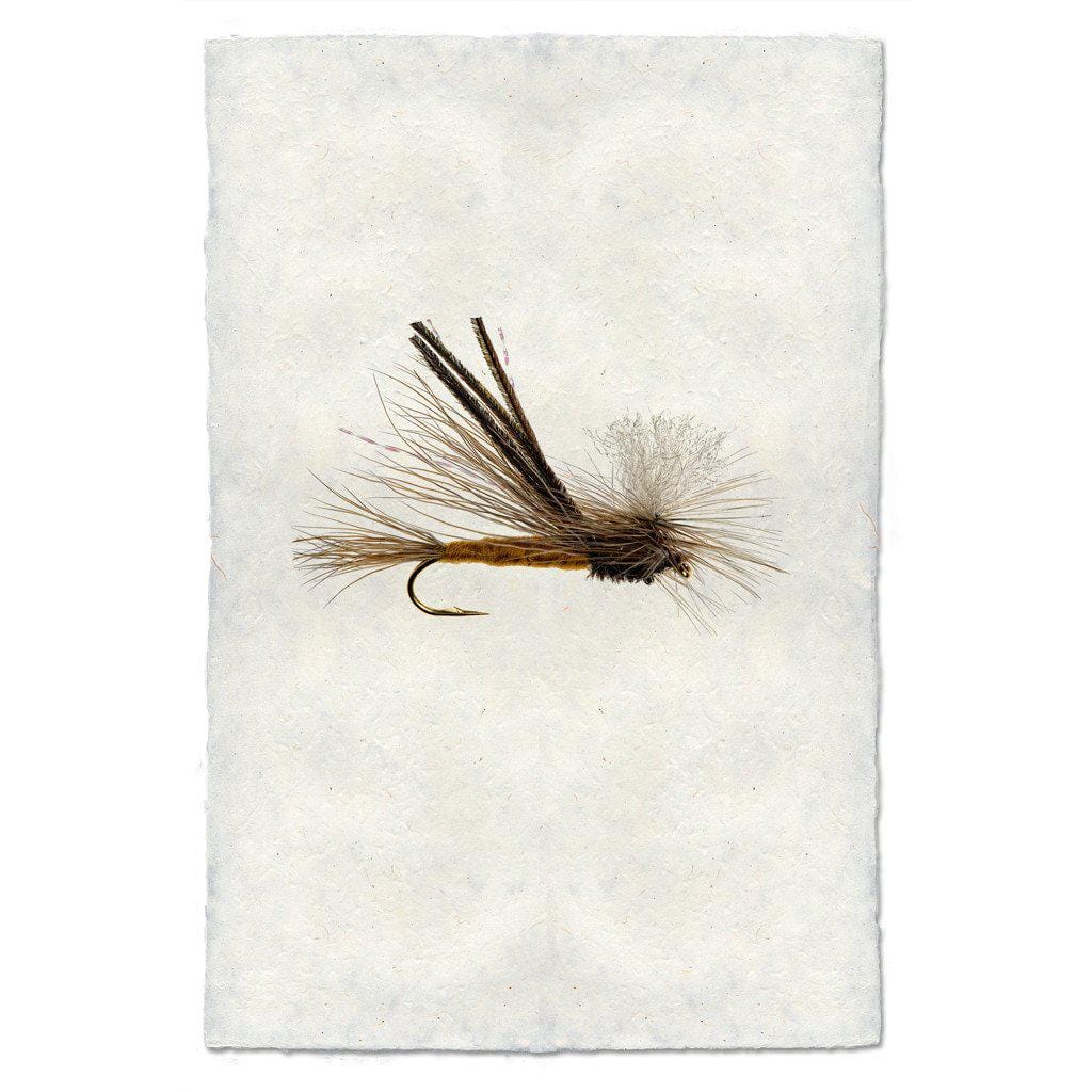 BARLOGA STUDIOS- fine photographs on intriguing papers Fishing Flies Bugmeister