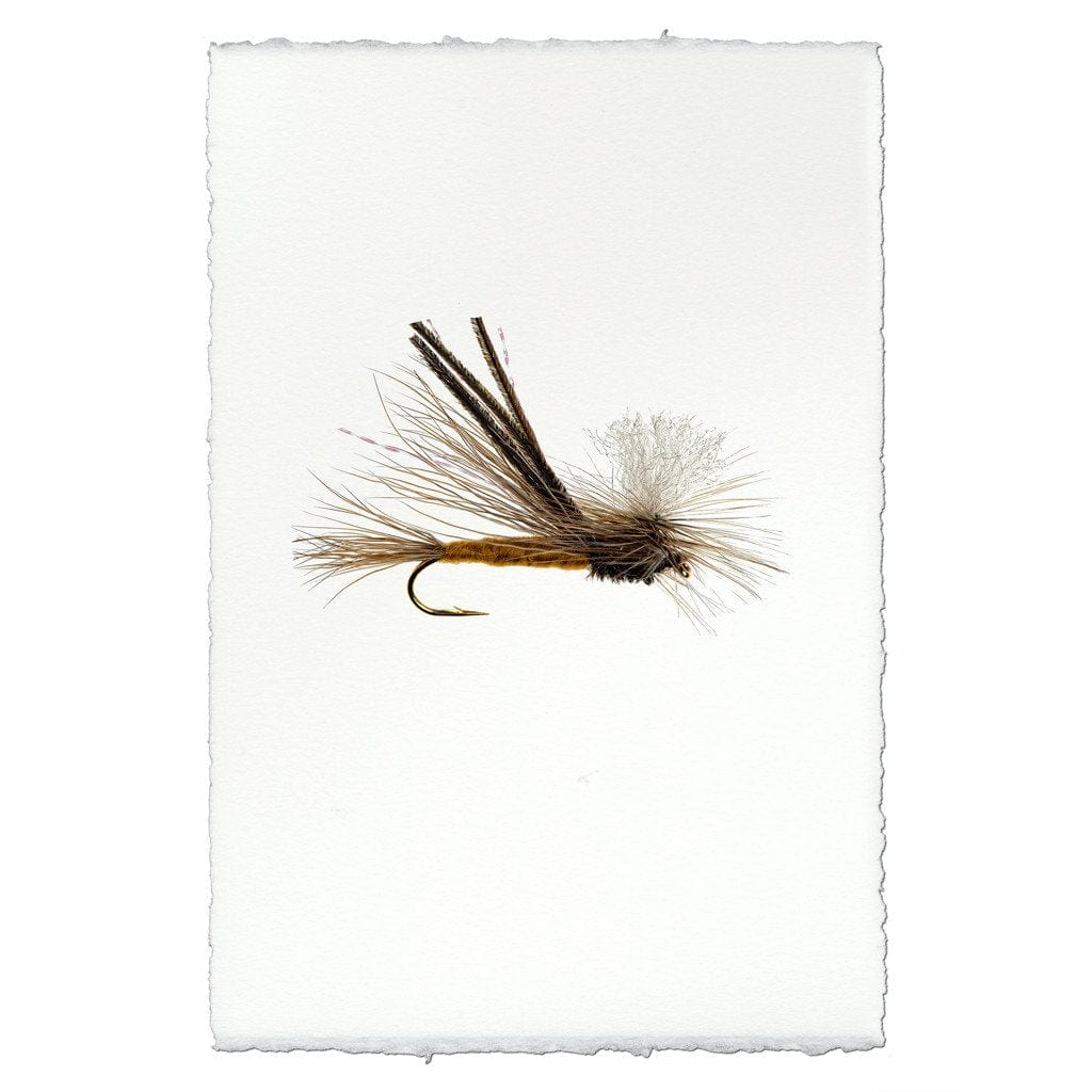 BARLOGA STUDIOS- fine photographs on intriguing papers Fishing Flies Bugmeister