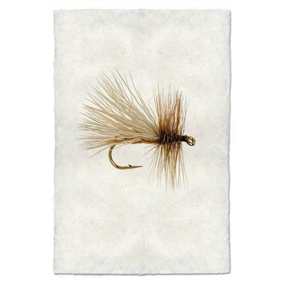 BARLOGA STUDIOS- fine photographs on intriguing papers Fishing Flies Caddis Variant