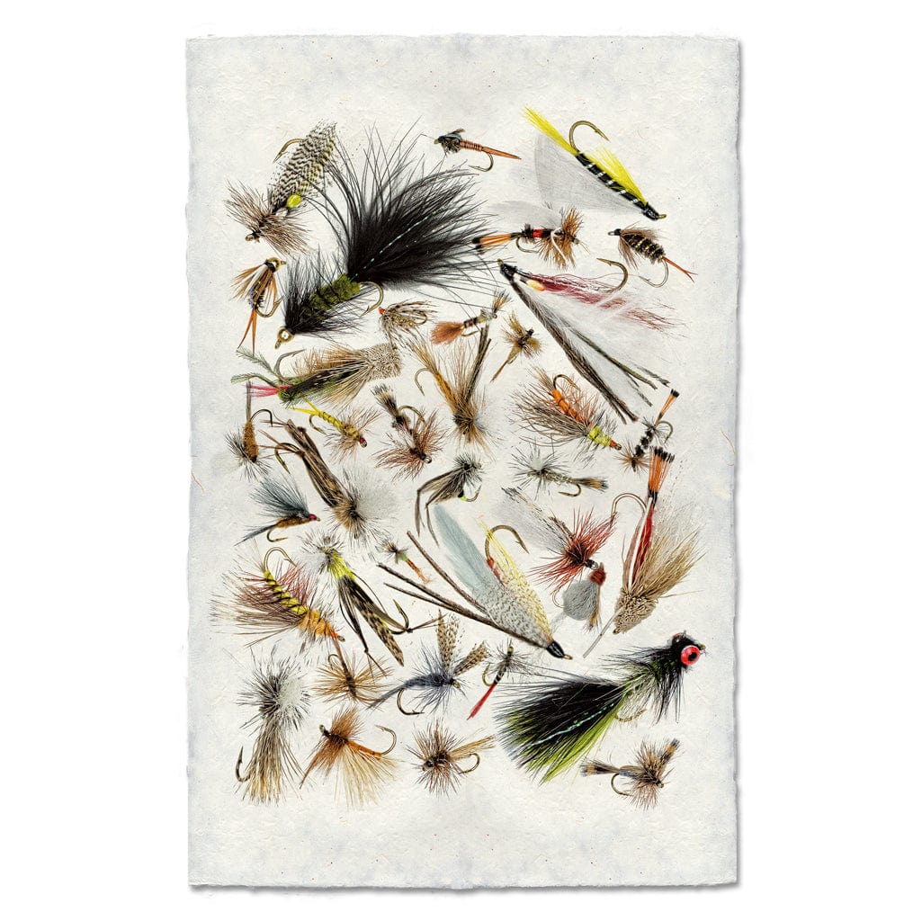 BARLOGA STUDIOS- fine photographs on intriguing papers Fishing Flies Collective Fishing Flies