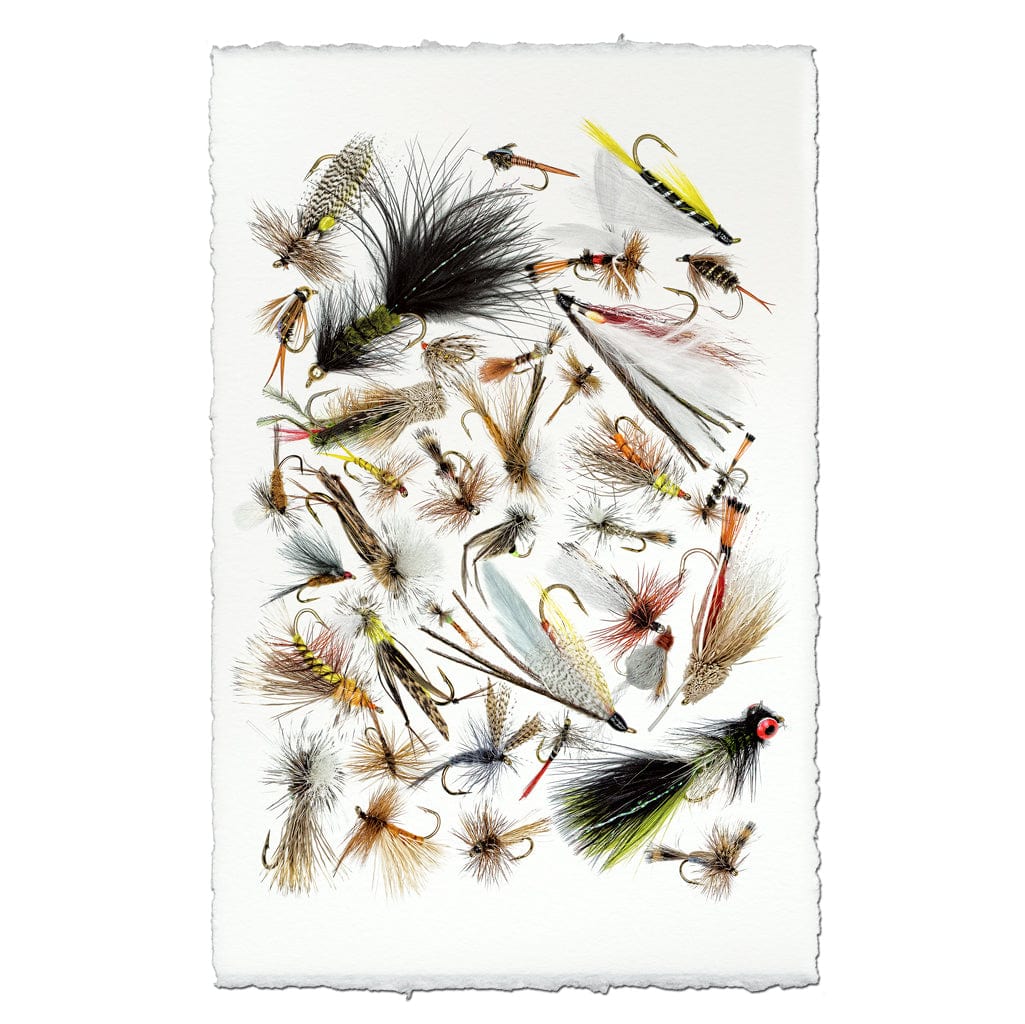 BARLOGA STUDIOS- fine photographs on intriguing papers Fishing Flies Collective Fishing Flies