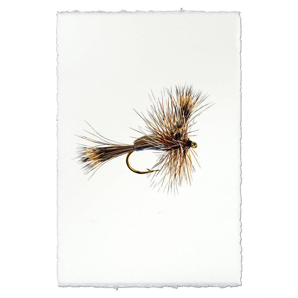 BARLOGA STUDIOS- fine photographs on intriguing papers Fishing Flies Humpy