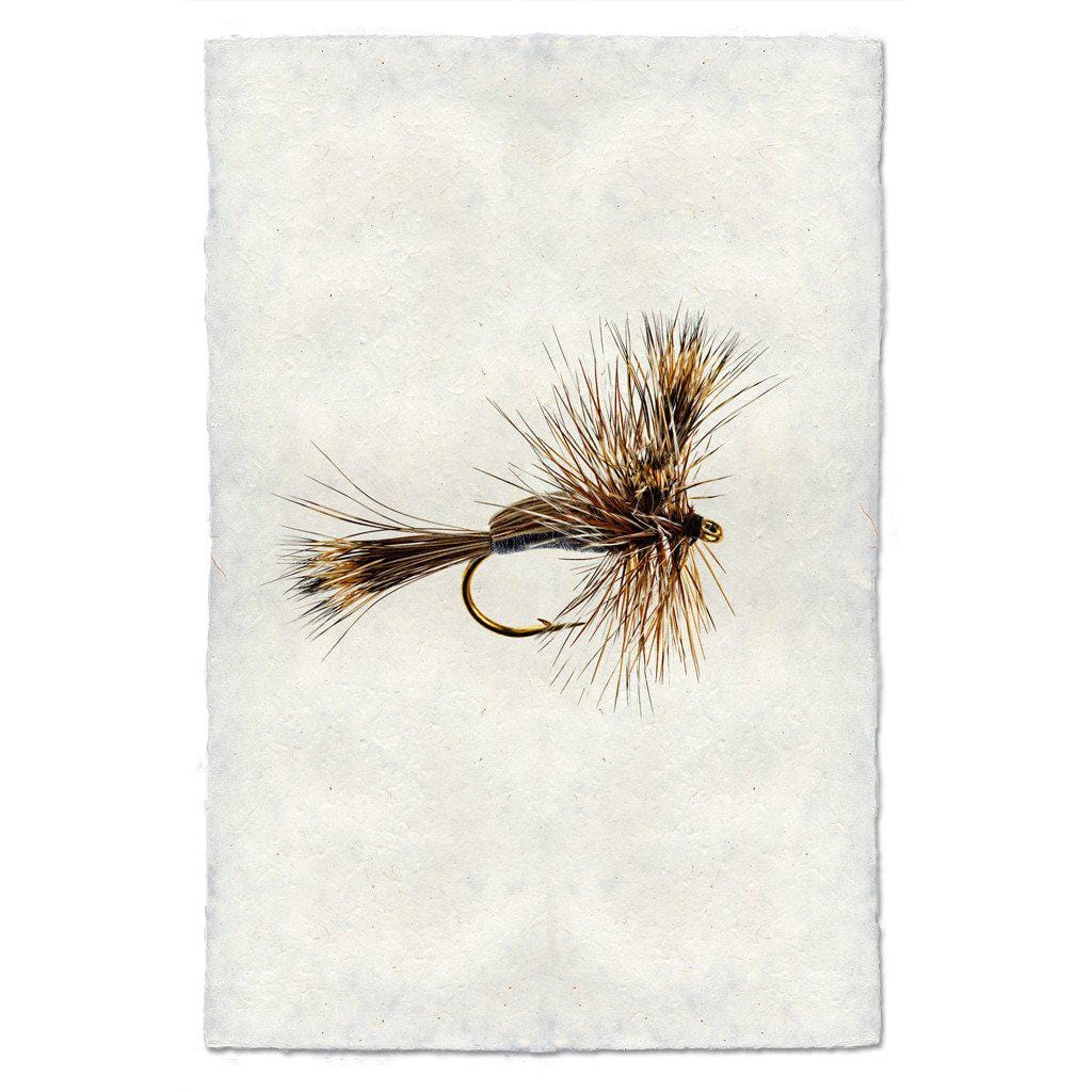 BARLOGA STUDIOS- fine photographs on intriguing papers Fishing Flies Humpy