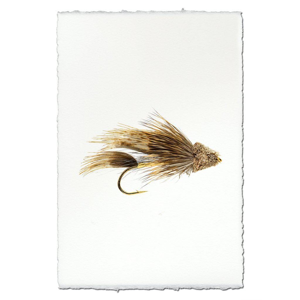 BARLOGA STUDIOS- fine photographs on intriguing papers Fishing Flies Muddler Minnow