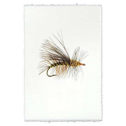 BARLOGA STUDIOS- fine photographs on intriguing papers Fishing Flies Stimulator