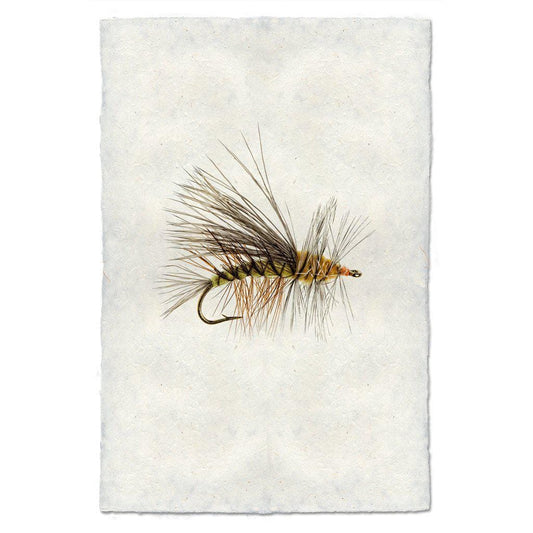 BARLOGA STUDIOS- fine photographs on intriguing papers Fishing Flies Stimulator