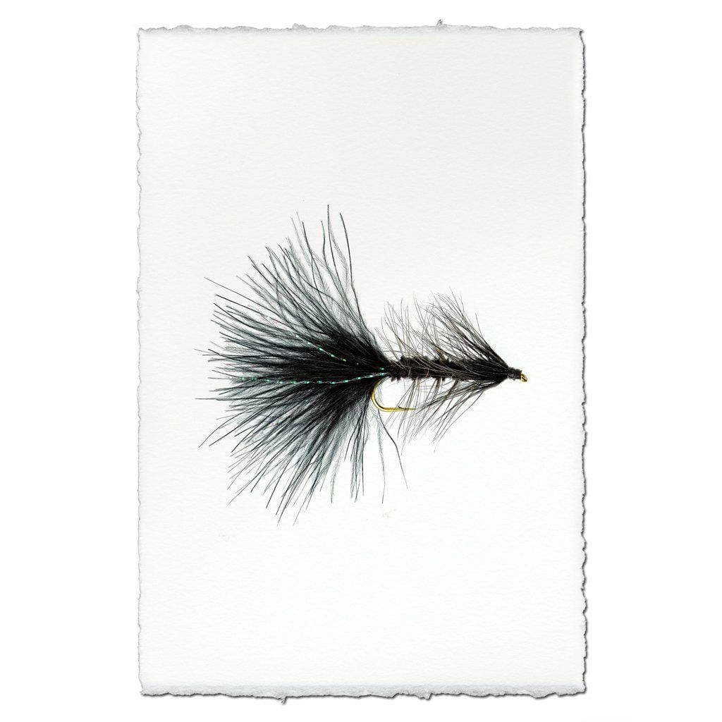 BARLOGA STUDIOS- fine photographs on intriguing papers Fishing Flies Woolly Bugger