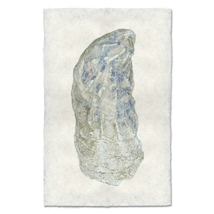 BARLOGA STUDIOS- fine photographs on intriguing papers from the sea Oyster Study #10