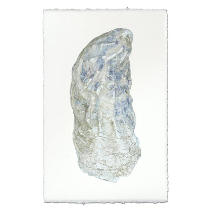 BARLOGA STUDIOS- fine photographs on intriguing papers from the sea Oyster Study #10