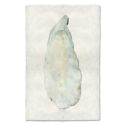 BARLOGA STUDIOS- fine photographs on intriguing papers from the sea Oyster Study #9