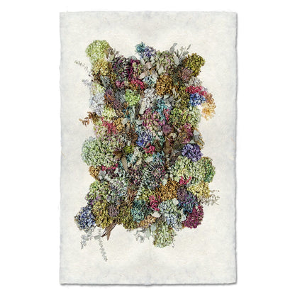 BARLOGA STUDIOS- fine photographs on intriguing papers handmade paper Collective Hydrangeas