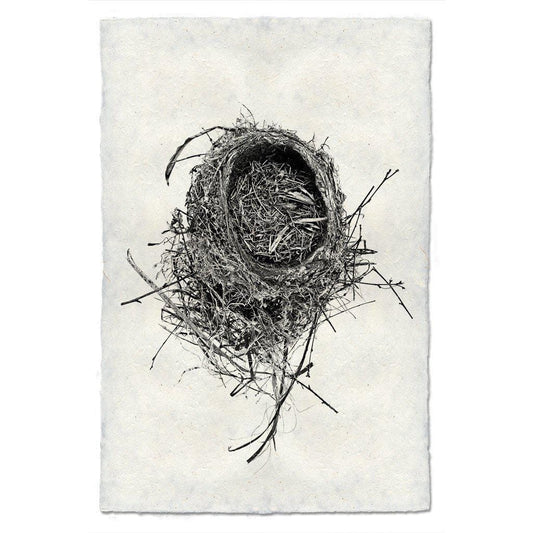 BARLOGA STUDIOS- fine photographs on intriguing papers nest Nest Study #11