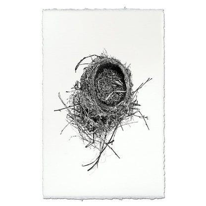 BARLOGA STUDIOS- fine photographs on intriguing papers nest Nest Study #11