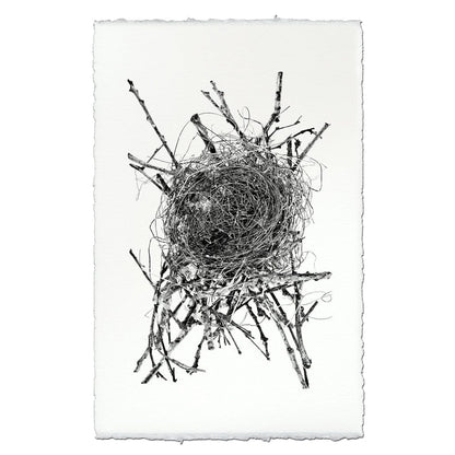 BARLOGA STUDIOS- fine photographs on intriguing papers nest Nest Study #15