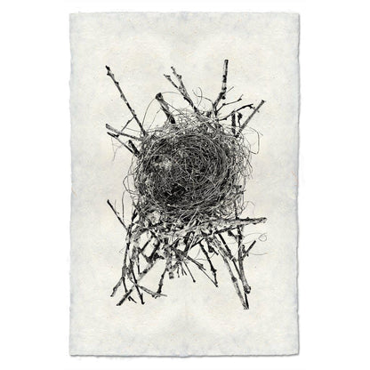 BARLOGA STUDIOS- fine photographs on intriguing papers nest Nest Study #15