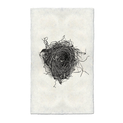 BARLOGA STUDIOS- fine photographs on intriguing papers nest Nest Study #5