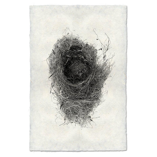 BARLOGA STUDIOS- fine photographs on intriguing papers nest Nest Study #6