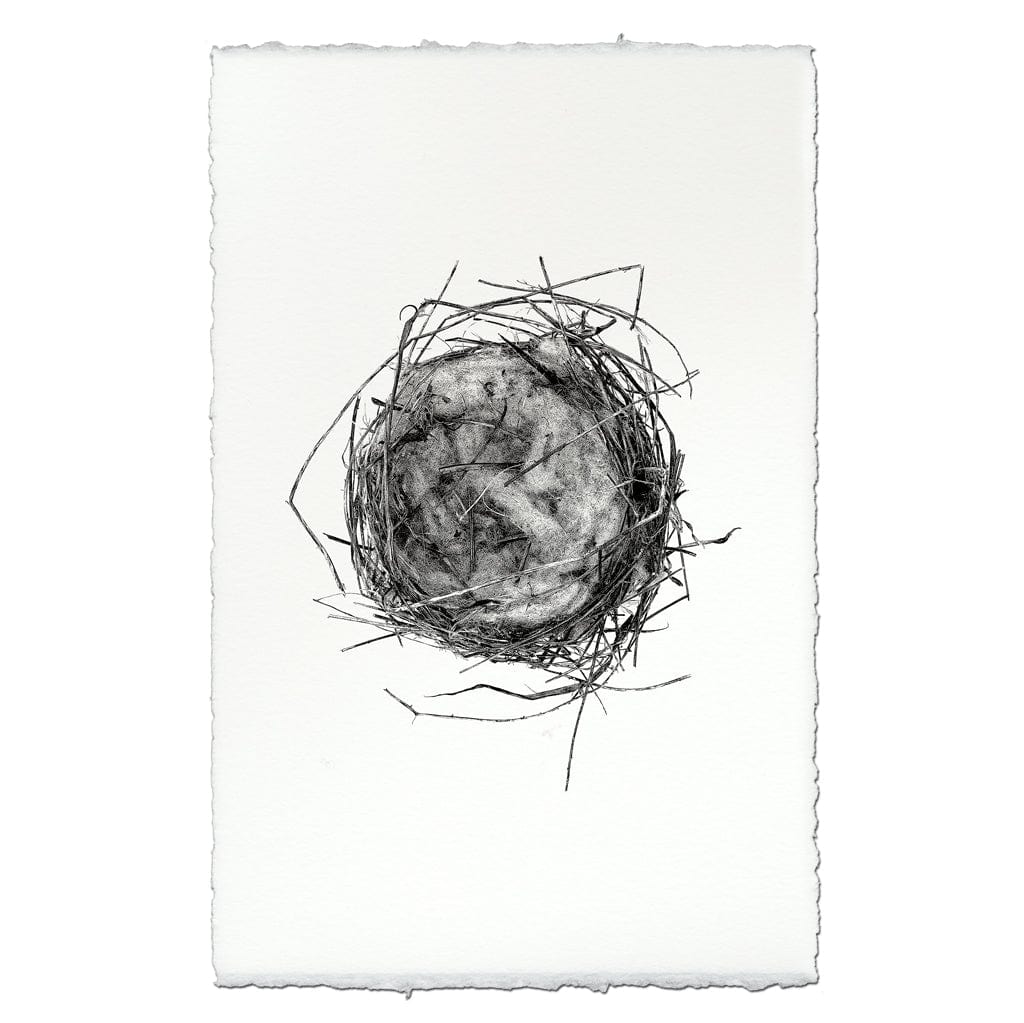 BARLOGA STUDIOS- fine photographs on intriguing papers nest Nest Study #7